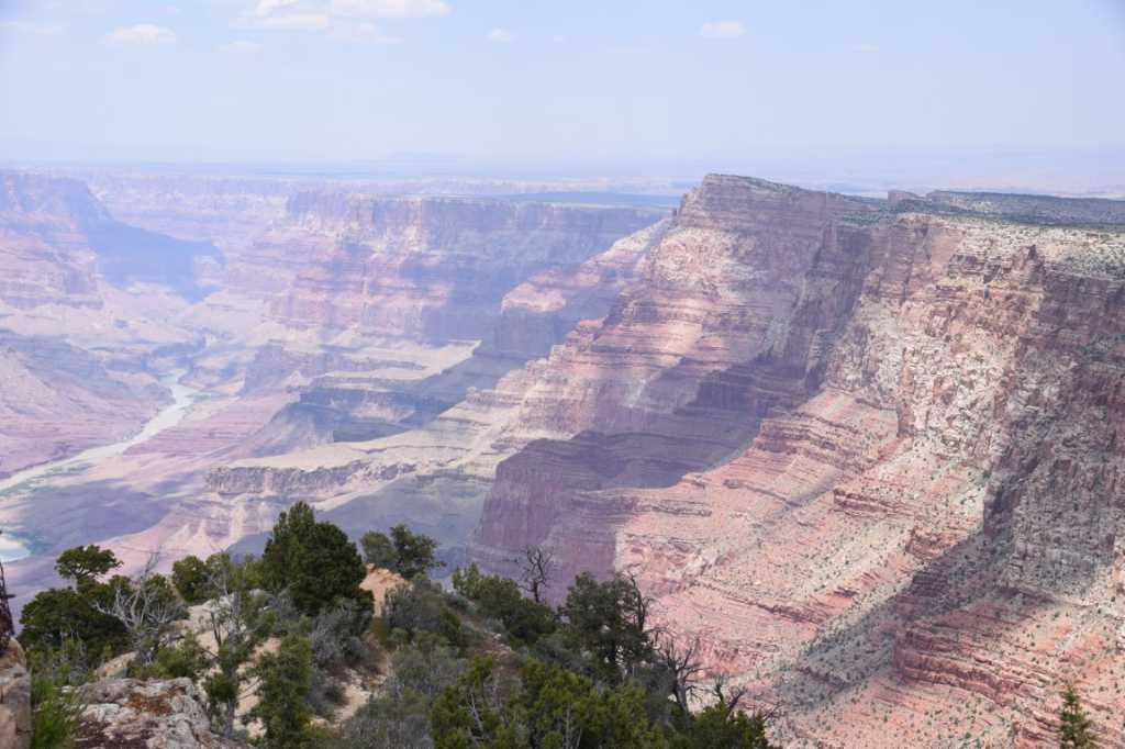DSC_0164Mittel_.JPG
